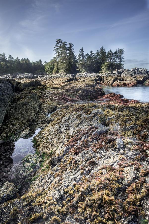 Wild Pacific Guest Suites Ucluelet Exterior foto